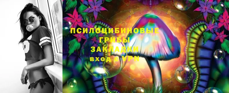 omg маркетплейс  Динская  Галлюциногенные грибы Psilocybe 